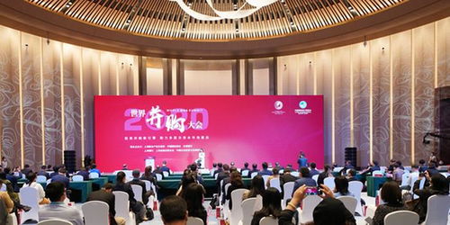 以产权市场建设与文化交融，共绘长三角高质量发展新篇章